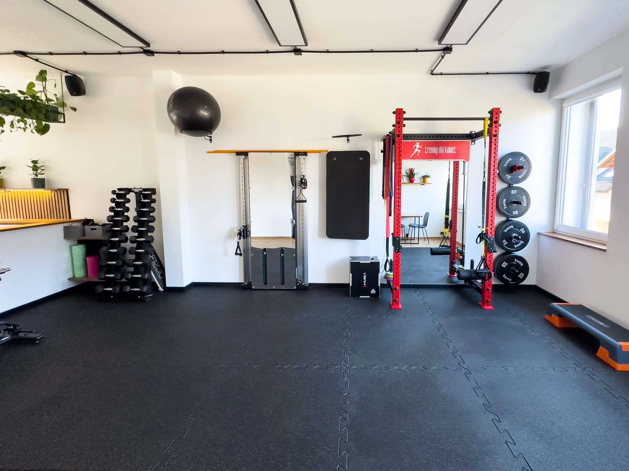 Wyposażenie siłowni TRX i ciężary