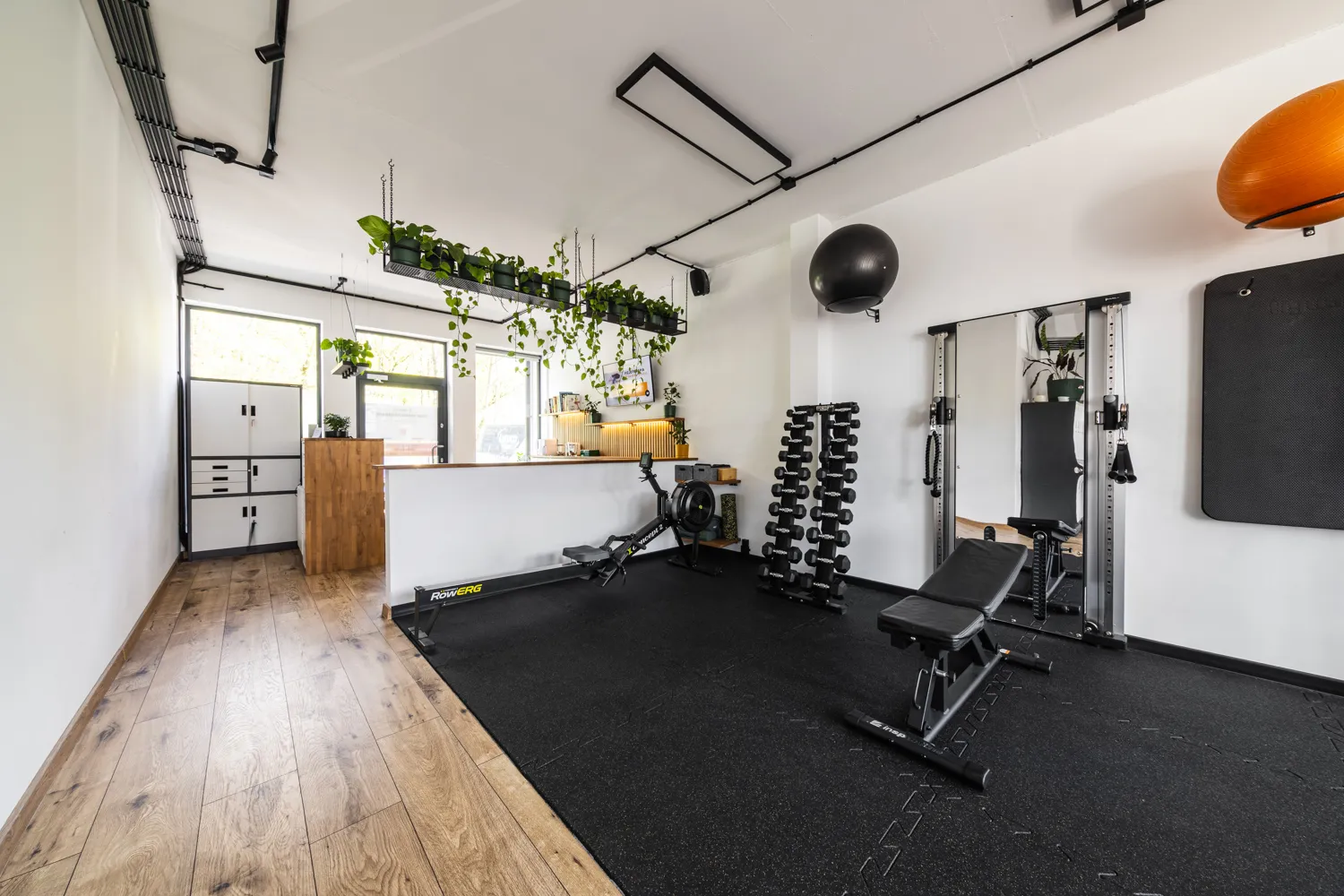 Studio Trening dla Kobiet — wnętrze